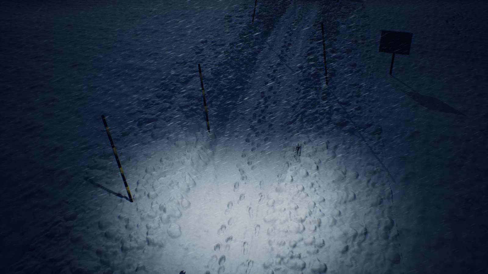 Snow path in flashlight